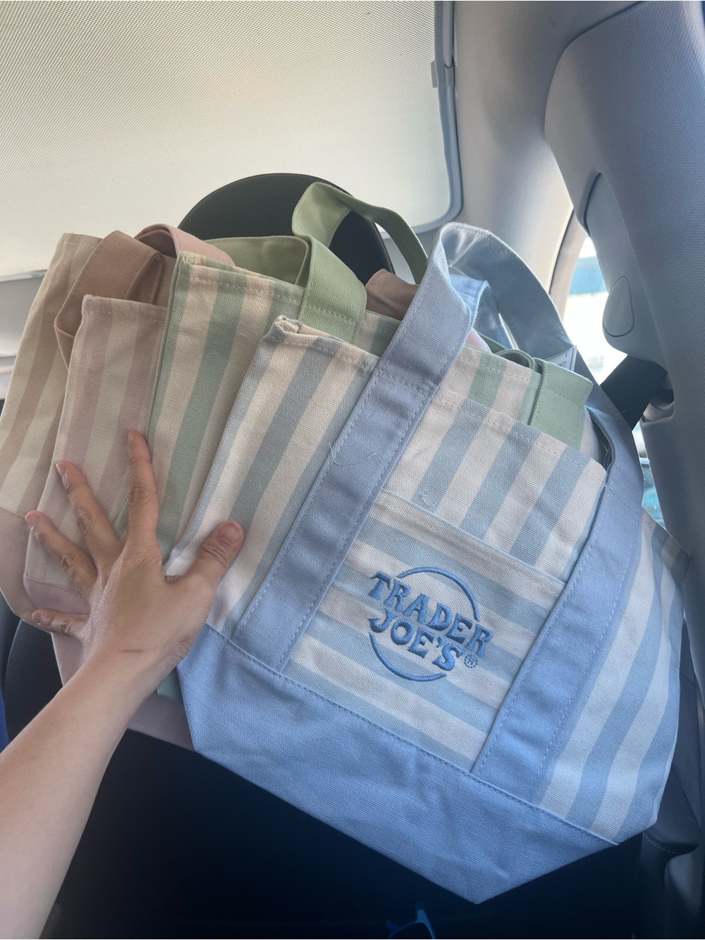 Mini Tote Bag trader joes